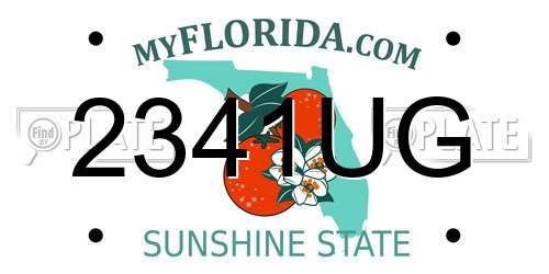 2341UG Florida License Plate