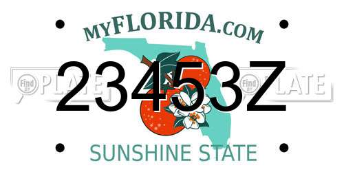 23453Z Florida License Plate