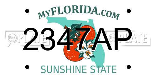 2347AP Florida License Plate