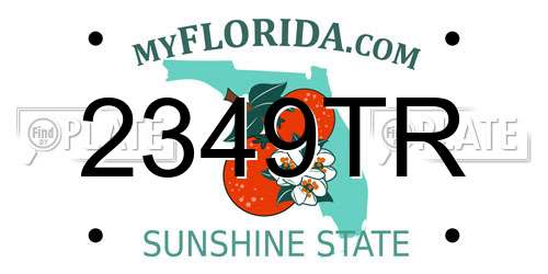 2349TR Florida License Plate