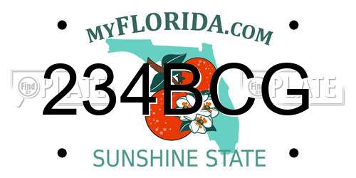 234BCG Florida License Plate