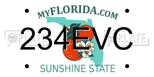 234EVC Florida License Plate