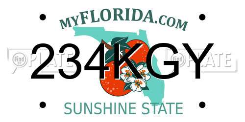 234KGY Florida License Plate