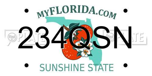 234QSN Florida License Plate