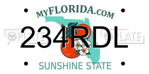 234RDL Florida License Plate
