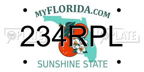 234RPL Florida License Plate