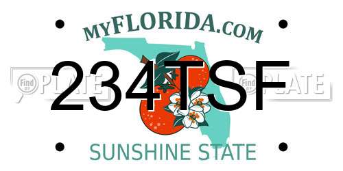 234TSF Florida License Plate