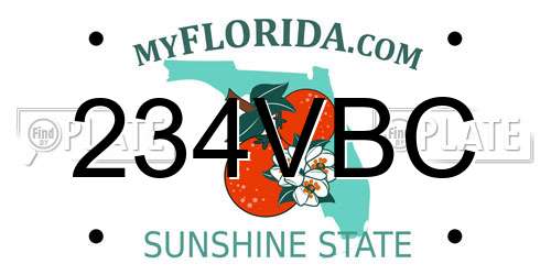 234VBC Florida License Plate