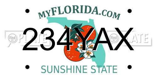 234YAX Florida License Plate