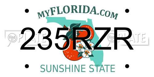 235RZR Florida License Plate