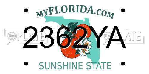 2362YA Florida License Plate