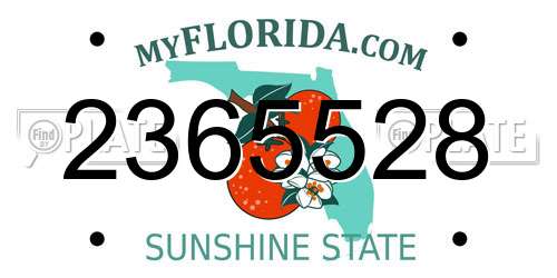 2365528 Florida License Plate