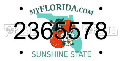 2365578 Florida License Plate