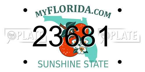 23681 Florida License Plate