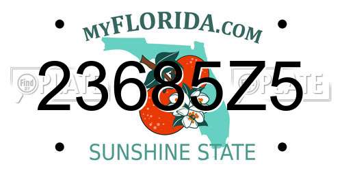 23685Z5 Florida License Plate
