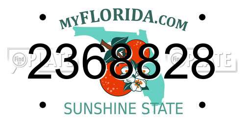 2368828 Florida License Plate
