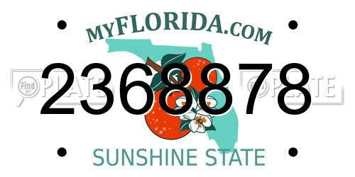 2368878 Florida License Plate