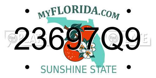 23697Q9 Florida License Plate