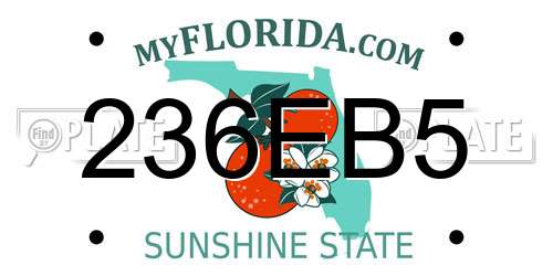236EB5 Florida License Plate