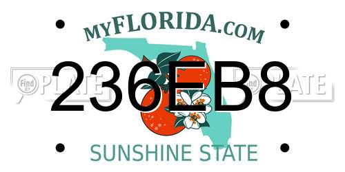 236EB8 Florida License Plate