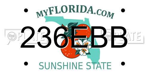 236EBB Florida License Plate