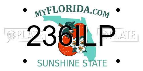 236ILP Florida License Plate