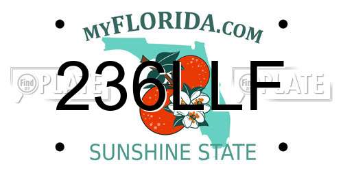 236LLF Florida License Plate