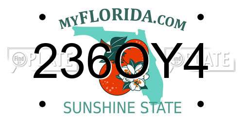 236OY4 Florida License Plate