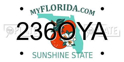 236OYA Florida License Plate