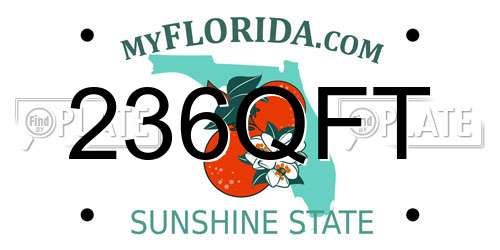 236QFT Florida License Plate