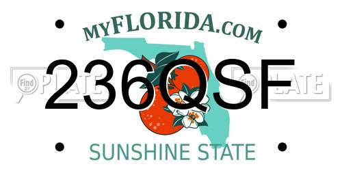 236QSF Florida License Plate