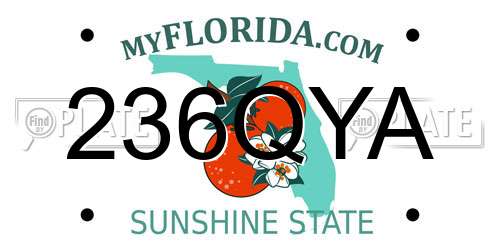 236QYA Florida License Plate