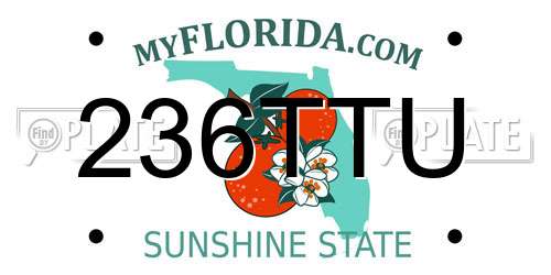 236TTU Florida License Plate