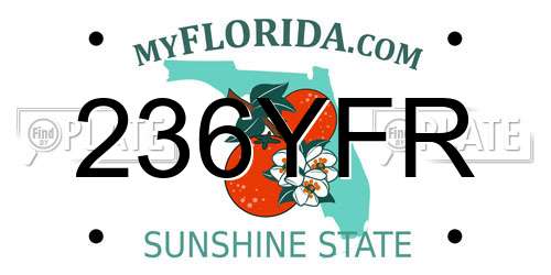 236YFR Florida License Plate