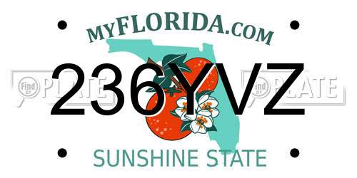 236YVZ Florida License Plate