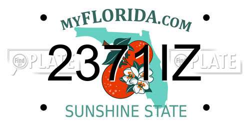 2371IZ Florida License Plate
