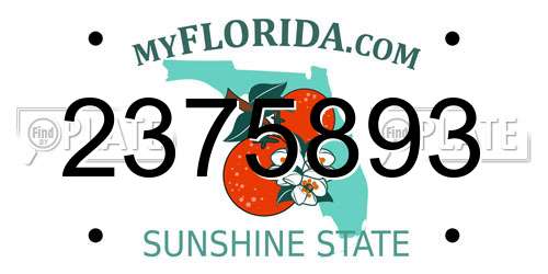 2375893 Florida License Plate