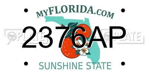 2376AP Florida License Plate