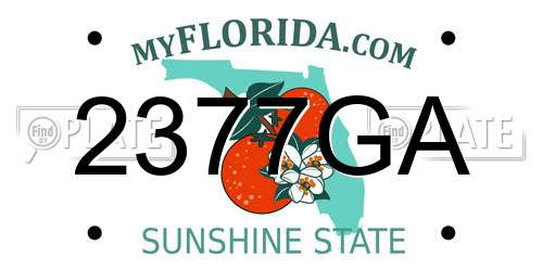 2377GA Florida License Plate