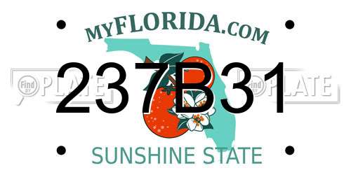 237B31 Florida License Plate