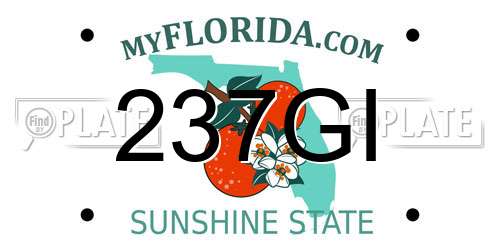 237GI Florida License Plate