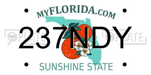 237NDY Florida License Plate