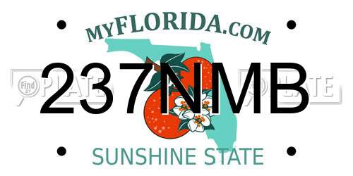 237NMB Florida License Plate