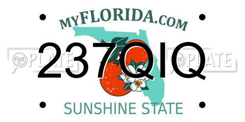 237QIQ Florida License Plate