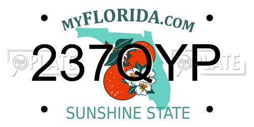 237QYP Florida License Plate