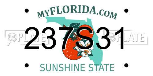 237S31 Florida License Plate