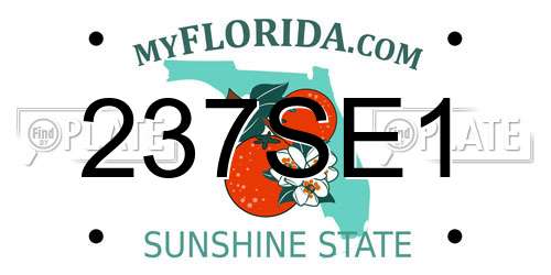237SE1 Florida License Plate