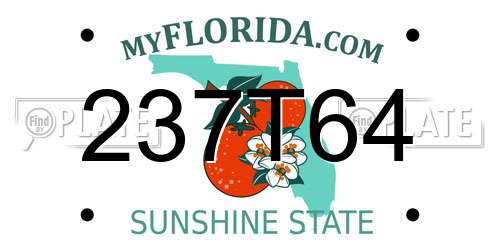 237T64 Florida License Plate