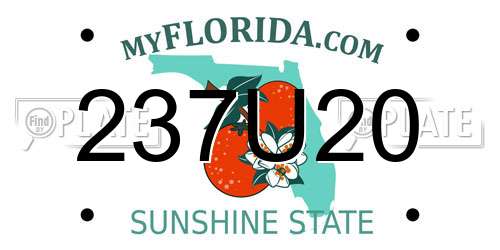 237U20 Florida License Plate