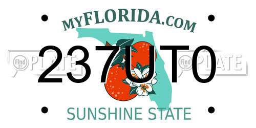 237UT0 Florida License Plate